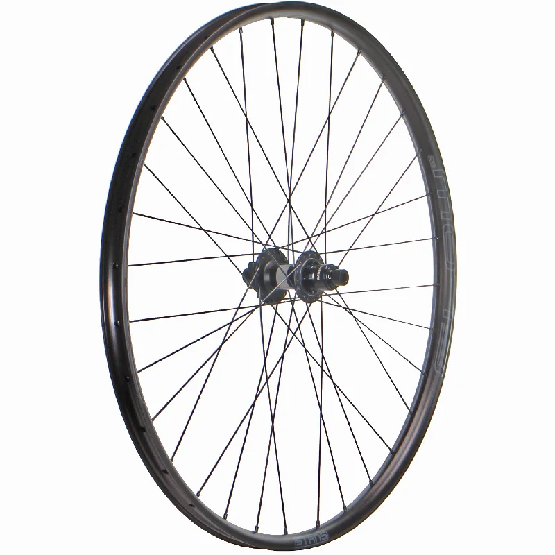 Bike shoes for road trips-Wheel Factory Stans Flow EX3 29" DT 370 LN Rear Wheel 12x142 XD